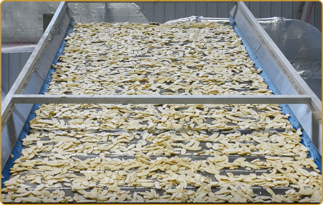 Plantain-Chips-Drying-Machine