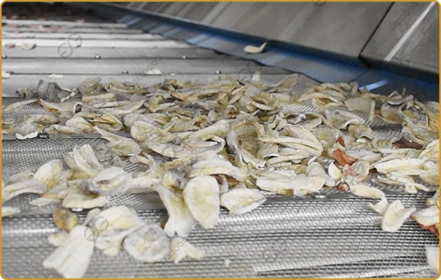 banana-chips-drying-machine-for-sale