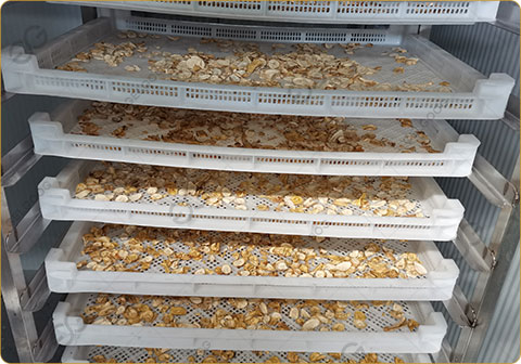 drying-machine